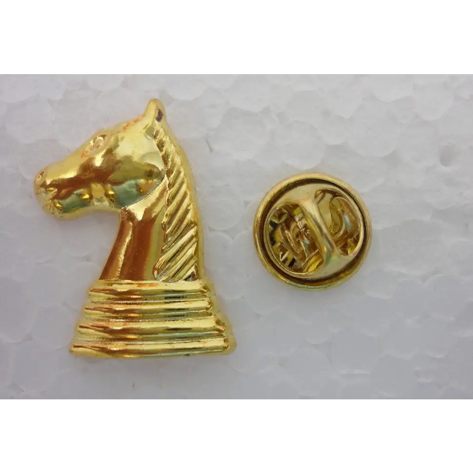 Chess Knight Pin