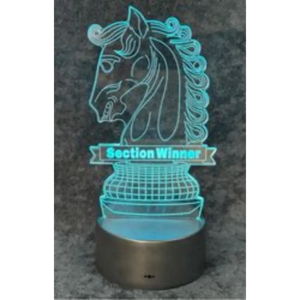 Chess Knight Light Section winner trophy Award