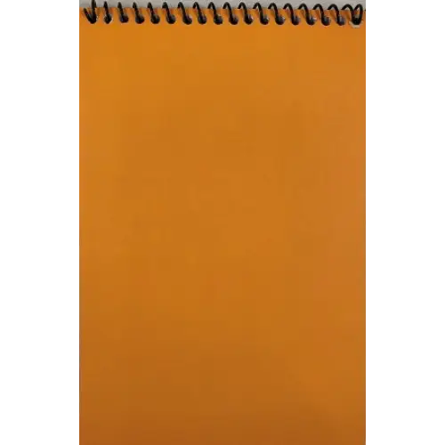 Scholastic Orange Softcover Back