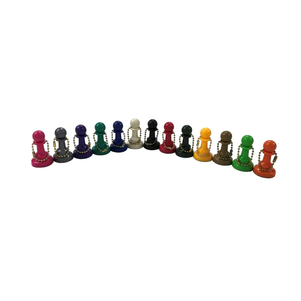 Color Keychain Pawn