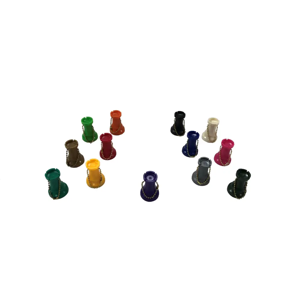 Color Keychain Rook